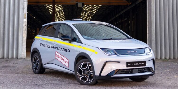 Το BYD Dolphin και ως επαγγελματικό