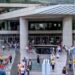 Διεθνής Ημέρα Μουσείων 2026: Ελεύθερη είσοδος και γιορτή πολιτισμού στα μουσεία της Ελλάδας