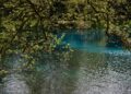 Natura 2000: Εγκρίθηκε νέα Ειδική Περιβαλλοντική Μελέτη για Ήπειρο και Δυτική Μακεδονία