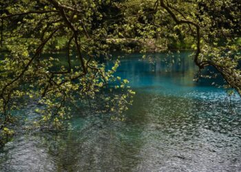Natura 2000: Εγκρίθηκε νέα Ειδική Περιβαλλοντική Μελέτη για Ήπειρο και Δυτική Μακεδονία