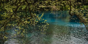 Natura 2000: Εγκρίθηκε νέα Ειδική Περιβαλλοντική Μελέτη για Ήπειρο και Δυτική Μακεδονία