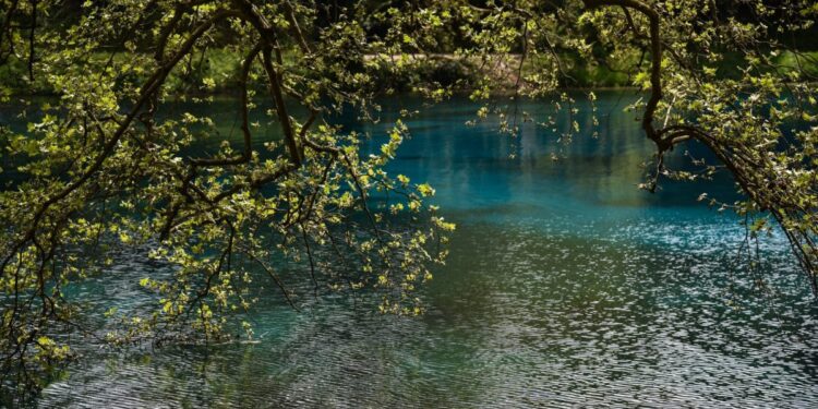 Natura 2000: Εγκρίθηκε νέα Ειδική Περιβαλλοντική Μελέτη για Ήπειρο και Δυτική Μακεδονία