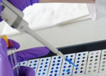 ΠΟΥ: Τρεις θάνατοι συνδέονται με πιθανό ξέσπασμα χανταϊού σε κρουαζιερόπλοιο στον Ατλαντικό