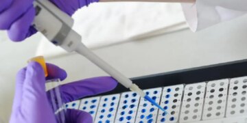 ΠΟΥ: Τρεις θάνατοι συνδέονται με πιθανό ξέσπασμα χανταϊού σε κρουαζιερόπλοιο στον Ατλαντικό