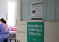 Χανταϊός: Στα 8 τα επιβεβαιωμένα κρούσματα του στελέχους των Άνδεων, σύμφωνα με τον ΠΟΥ