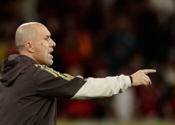 Ζαρντίμ: «Θα επέστρεφα μονάχα για την εθνική ομάδα» - www.ertsports.gr