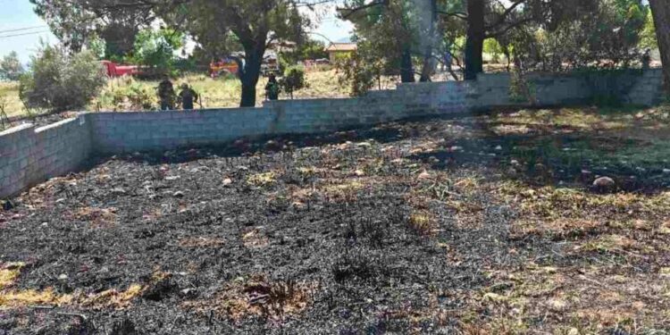 Σύλληψη 89χρονου για πυρκαγιά από αμέλεια στο Κρυονέρι – Πρόστιμο 2.578 ευρώ από την Πυροσβεστική