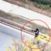 Τρόμος στη Μασαχουσέτη: Άνδρας άρχισε να πυροβολεί αυτοκίνητα στη μέση του δρόμου και τραυμάτισε 11 άτομα