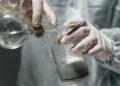 Δανία: Έρευνα φέρνει ελπίδες για την αντιμετώπιση των «παντοτινών χημικών»