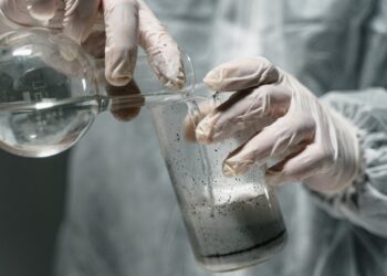 Δανία: Έρευνα φέρνει ελπίδες για την αντιμετώπιση των «παντοτινών χημικών»