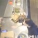 ΗΠΑ: Γυναίκα πέταξε μεταλλικό μπολ σε υπάλληλο αλυσίδας εστιατορίων για ένα λάθος στην παραγγελία της - Δείτε βίντεο