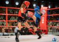 Το Muaythai σε Ανοδική Πορεία: 800+ Συμμετοχές στο Πανελλήνιο 2026 - www.ertsports.gr
