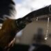 Καύσιμα: Άλμα 5% στην τιμή του Brent - Ελπίδες να διατηρηθεί η μείωση του 2,8% στην αμόλυβδη
