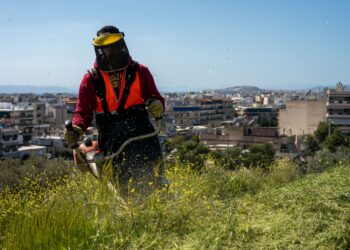 Ακαθάριστα οικόπεδα: Ενεργοποιούνται οι ελεγκτικοί μηχανισμοί και η επιβολή προστίμων - ertnews.gr