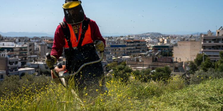 Ακαθάριστα οικόπεδα: Ενεργοποιούνται οι ελεγκτικοί μηχανισμοί και η επιβολή προστίμων - ertnews.gr