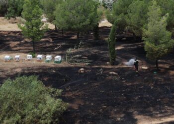 Αθώος ο μελισσοκόμος που συνελήφθη για την φωτιά στο Άλσος Βείκου