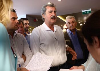 Πολάκης στην ΚΕ: «Το δίλημμα δεν είναι αν θα είμαστε δίπλα ή απέναντι στον Τσίπρα, αλλά αν θα υπάρχει ΣΥΡΙΖΑ ή όχι»