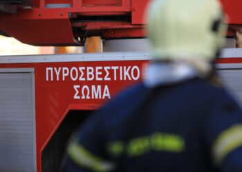 Φωτιά στον Ορχομενό Βοιωτίας – Ισχυρές πυροσβεστικές δυνάμεις στο σημείο, δεν απειλούνται κατοικημένες περιοχές