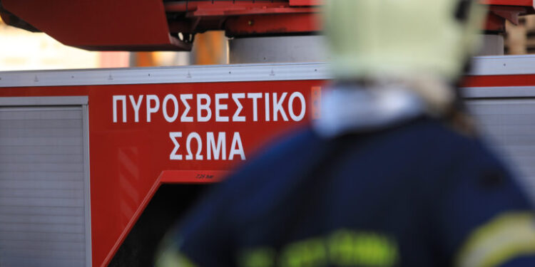 Φωτιά στον Ορχομενό Βοιωτίας – Ισχυρές πυροσβεστικές δυνάμεις στο σημείο, δεν απειλούνται κατοικημένες περιοχές