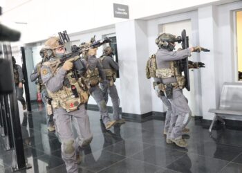 «Odin»: Η επιχείρηση «αστραπή» για τη σύλληψη του 37χρονου στην Κρήτη - Η εκπαίδευση στη Μαλαισία, οι διασυνδέσεις και τα σχέδια για βόμβα - ertnews.gr