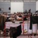 Πλεύρης στο ΕΡΤnews: Πίεση στην Κρήτη, μείωση στο Αιγαίο - Στο τραπέζι αυστηρότερα μέτρα αν συνεχιστούν οι ροές