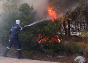 Συνελήφθη 43χρονη για εμπρησμό από πρόθεση κατ’ εξακολούθηση στην Κερατέα - ertnews.gr