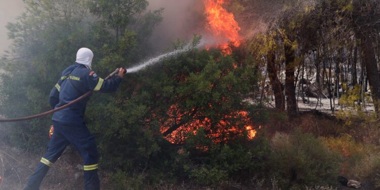 Συνελήφθη 43χρονη για εμπρησμό από πρόθεση κατ’ εξακολούθηση στην Κερατέα - ertnews.gr