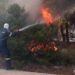 Συνελήφθη 43χρονη για εμπρησμό από πρόθεση κατ’ εξακολούθηση στην Κερατέα - ertnews.gr