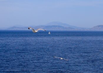 Καιρός: Σε ανοδική πορεία ο υδράργυρος, έρχονται θερμοκρασίες έως 35 βαθμούς - Αναλυτική πρόγνωση - ertnews.gr