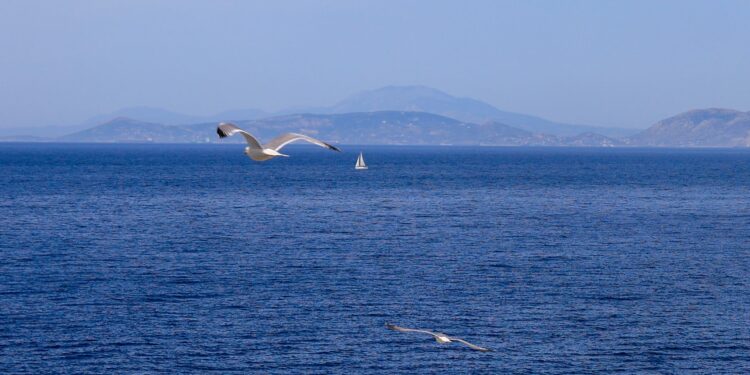Καιρός: Σε ανοδική πορεία ο υδράργυρος, έρχονται θερμοκρασίες έως 35 βαθμούς - Αναλυτική πρόγνωση - ertnews.gr