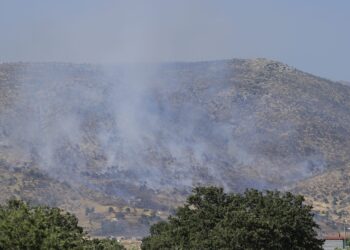 Συναγερμός για τις πυρκαγιές στη Δυτική Αττική: Ανθρώπινο χέρι πίσω από τις περισσότερες φωτιές λέει η Πυροσβεστική - Δεκάδες συλλήψεις από την αρχή του έτους - ertnews.gr