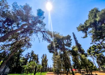 Καιρός: Μικρές αυξομειώσεις στην ένταση των μελτεμιών, επιστρέφει η αστάθεια στα μέσα της εβδομάδας - Η πρόγνωση από την Όλγα Παπαβγούλη - ertnews.gr