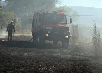 Δύο φωτιές στη Βοιωτία - Μήνυμα του 112 στους κατοίκους της περιοχής Ακραίφνιο για ετοιμότητα - ertnews.gr