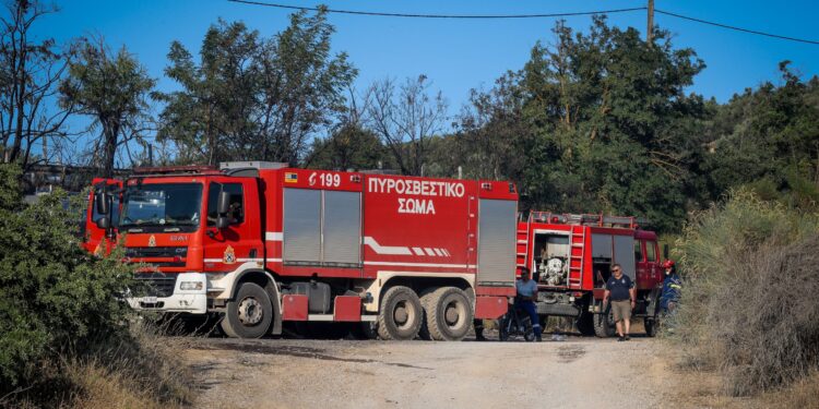 Απαγόρευση κυκλοφορίας στη Χαλκιδική, λόγω υψηλού κινδύνου δασικής πυρκαγιάς - ertnews.gr