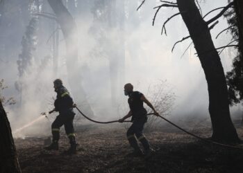 Εντοπίστηκε και δεύτερη σορός μετά τη φωτιά στο Ωραιόκαστρο Θεσσαλονίκης - ertnews.gr