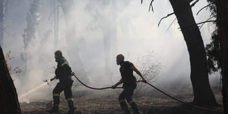 Εντοπίστηκε και δεύτερη σορός μετά τη φωτιά στο Ωραιόκαστρο Θεσσαλονίκης - ertnews.gr