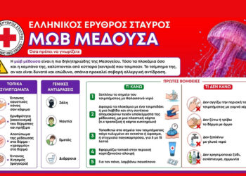 Καλοκαίρι με ασφάλεια: Τι να κάνετε αν σας τσιμπήσει μωβ μέδουσα