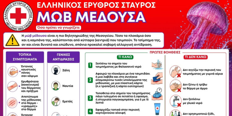 Καλοκαίρι με ασφάλεια: Τι να κάνετε αν σας τσιμπήσει μωβ μέδουσα
