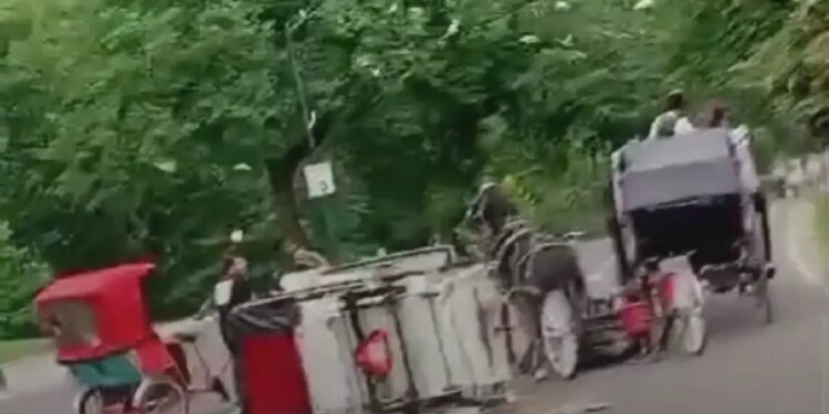 Τραγωδία στη Νέα Υόρκη: 18χρονος σκοτώθηκε στο Σέντραλ Παρκ - Αφηνίασε το άλογο ενώ έκανε βόλτα με άμαξα