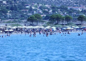 Παράνομη κατάληψη παραλίας στην Ανάβυσσο: 72χρονος είχε τοποθετήσει παράνομα 200 ομπρέλες και 400 ξαπλώστρες - ertnews.gr