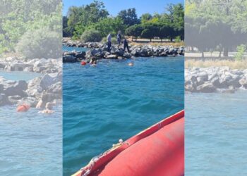 Βόλος: Μεγάλη επιχείρηση στην παραλία του Αναύρου για να βγει από τη θάλασσα 31χρονος που βρισκόταν σε παραλήρημα