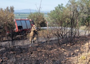 Σε ύφεση τα μεγάλα πύρινα μέτωπα σε Βοιωτία, Εύβοια και Έβρο - 32 φωτιές μέσα σε μία ημέρα - ertnews.gr