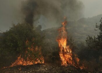 Πυροσβεστική: Πέντε πυρκαγιές λόγω κεραυνικής δραστηριότητας μέσα σε ένα εικοσιτετράωρο