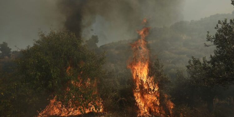 Πυροσβεστική: Πέντε πυρκαγιές λόγω κεραυνικής δραστηριότητας μέσα σε ένα εικοσιτετράωρο