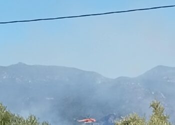 Μεγάλη κινητοποίηση για φωτιά στο Χαρακοπιό Μεσσηνίας – Αναμένονται εναέρια μέσα