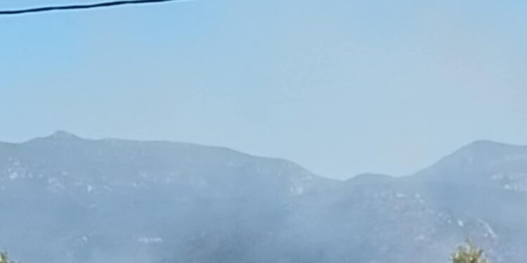 Μεγάλη κινητοποίηση για φωτιά στο Χαρακοπιό Μεσσηνίας – Αναμένονται εναέρια μέσα