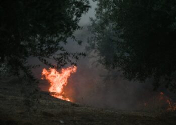 Πυρκαγιά στα Άνω Λιόσια: Καίει ξερά χόρτα - ertnews.gr