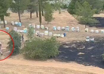 Άλσος Βεΐκου: Βίντεο-ντοκουμέντο δείχνει μελισσοκόμο να απομακρύνεται όταν οριοθετήθηκε η φωτιά – Ταυτοποιήθηκε και αναζητείται