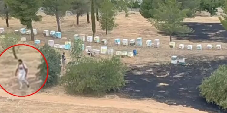Άλσος Βεΐκου: Βίντεο-ντοκουμέντο δείχνει μελισσοκόμο να απομακρύνεται όταν οριοθετήθηκε η φωτιά – Ταυτοποιήθηκε και αναζητείται