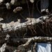 Νεκρός δημοσιογράφος του Al Jazeera στη Γάζα μετά από ισραηλινό βομβαρδισμό - «Τρομοκράτη της Χαμάς» τον αποκαλεί το Τελ Αβίβ